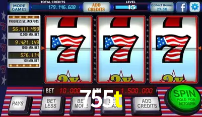 Flash Promotion 755t